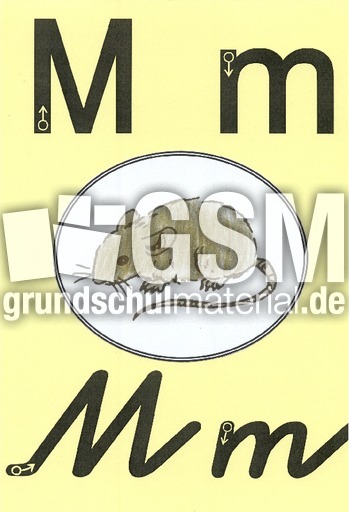 13 m Wandfries a 4 farbiges Bild-Hintergund gelb.pdf